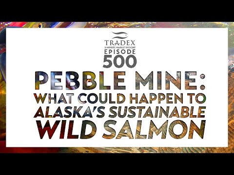 3MMI - Pebble Mine : What Could Actually Happen to Alaska's Sustainable Salmon