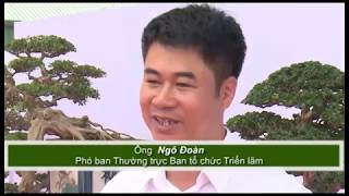 Triển lãm cây cảnh nghệ thuật Bonsai Yên Tử lần thứ hai hứa hẹn “mãn nhãn” công chúng