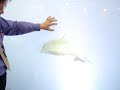 100\" Interactive Multi Touch Window