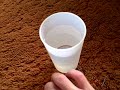 Electrical Science Project Experiment (Water Detection) Electrical Science Project Experiment (Water Detection)