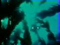 Erotic Aquatic Inner Visions (1974) classic