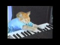 videos de Play Him Off, Keyboard Cat starring Billy Bob Thornton