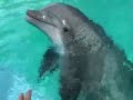 SeaWorld (San Antonio) 2