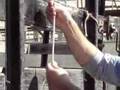 How to tie a Trucker's Hitch