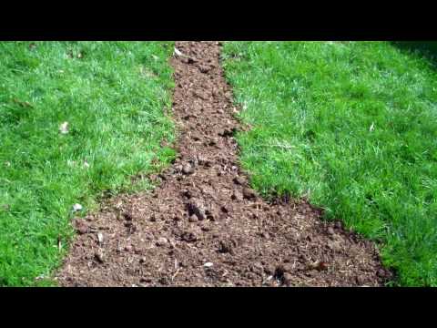 how to drain wet yard