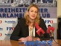 Gesundheitsreform II, FPÖ-Belakowitsch-Jenewein