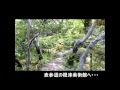 Click here to watch this video ケビ散歩番外編（美術館巡り）