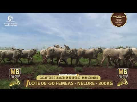 11� LEIL�O FAM�LIA LUCIANO DUARTE E CONVIDADOS