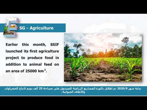 فيديو تعريفي لصندوق الاستثمار - الملتقى الاول لصناديق التقاعد بعنوان "الاستثمار لتعزيز المنعة".