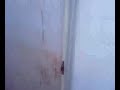 université saad dahleb Cité II