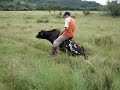 Ginetiadas!!! Ginetiadas!!!