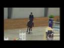 Akido GP.wmv