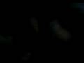 videos de bozarif