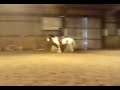 Kerrin Andd Paddy Jumping =)