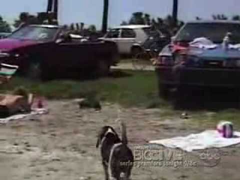 AFV - Animal Stealing