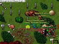Son of Hardek hunting brs! Tibia Elera Pk br killing