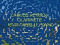 my name is carlos acosta; i am argentine and was born september 9th of 1966. i began my studies of sax with my father.
then i studied clarinet with my master rolando d'hellemmes (soloist clarinet of theatre colon's orchestra). in parallel i began my studies of harmony with juan carlos cirigliano (astor piazzolla's pianist), then harmony and counterpoint with master dante d'iorio, then composition, orchestration and conducting with master juan carlos zorzi (conductor of national symphonic, rosario symphonic and composition professor of the national conservatory l�pez buchardo).
i want to write music for movies and can write music on different musicals stiles like classical, jazz and tango
contact: acosta2ar@yahoo.com.ar (write only about music)
professional performance

popular music
1987-actual: many jazz orchestras with the best musicians of buenos aires and playing at international hotels (sheraton, plaza, hyatt, intercontinental, etc...). actually, i play like first alto and arrangement at nestor astarita big band (integrated by theatre colon's musicians)

classical music
2000-2003: as first clarinet and arrangement of puccini lyric company.
conductor: daniel saito
i played traviata, cavalleria rusticana (i wrote a reduction for chamber orchestra), many lyrics concerts and 1st and 2nd lyric festivals of italian music where i wrote all music for symphonic orchestra
(for caritas).
nov.-dec. 2002: rigoletto (teatro colon)
apr.-may. 2004: don carlo (teatro colon)
jul.- aug. 2004: ubu rex (teatro colon)
oct.-nov. 2004 traviata (teatro avenida with teatro colon's professors.)
apr. 2005: i lombardi (teatro colon)
jul. 2005: hoffman's tales (teatro avenida with teatro colon's proffesors.)
dec. 2005: rhapsody in blue (with sax, teatro colon)
aug. 2006: jonny spielt auf (with sax, teatro colon)
from 2005: carlos acosta-hebe tarelli duo. we play chamber repertory for clarinet and piano
may. 2007 la traviata.  clarinete i�  banda de escena (teatro colon de bs. as.)