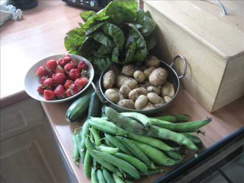 how to start a vegetable patch uk