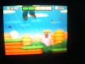 New super mario bros ds