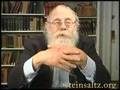 Rabbi Adin Steinsaltz: An Introduction