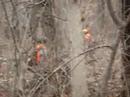 Late Season Squirrel Hunting 02