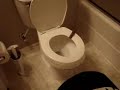 fake-poop-party-pooper-funny-dog-toy.html