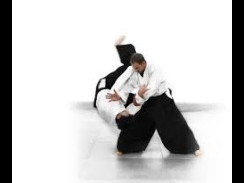 Aikido vs Aikido Good Randori. Рандори.