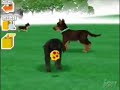 Nintendog-Chihuahua Review