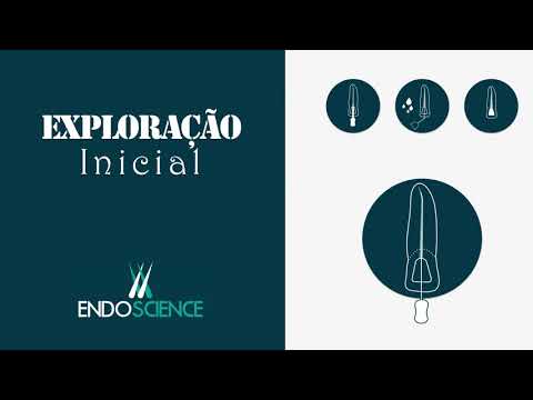 Exploração inicial do Canal Radicular