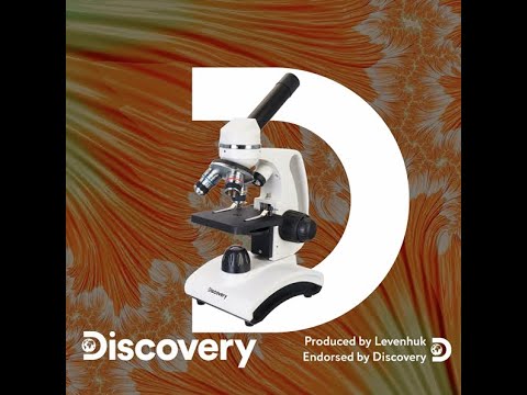 Discovery Femto Microscopes Review