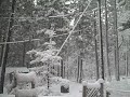 What's That White Stuff?