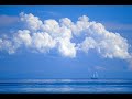 In The Sky (Bass Shockerz! Original Mix)