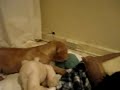 MOV01166