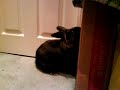 BunJi - daily life BunJi - daily life
