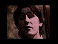 Robert Forster - Baby Stones