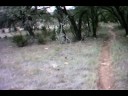reimers ranch 11-10