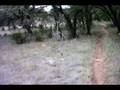 videos de reimers ranch 11-10