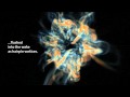 The Secret Life Of Vortices