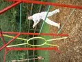 Search Video