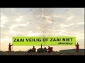 Confetti-kanon tegen gentechmaïs van Monsanto