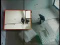 Vídeo de suelo radiante de Orkli: Instalación