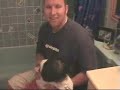 brushing monamis teeth