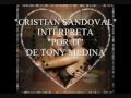 ''POR TI'' , INTERPRETA CRISTIAN SANDOVAL, MUSICA CLASICA, MUSICA ROMANTICA, PARA MEDITACION