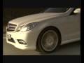 2010 Mercedes E500