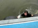 This Is Swimming!