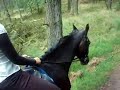 Senna en Tremona het bos in!