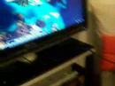 Big Screen Guild Wars