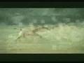 Suicide dog - Bridgestone TV Commercial