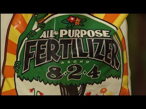 how to fertilize texas sage