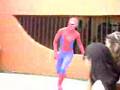 l spiderman mas pendejo
